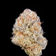 PDX Organics Doses & Mimosas #10