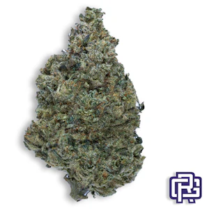 OREGON ROOTS - Dosi Sherbet Flower