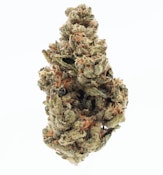 TVC | Dosido | Bulk Flower