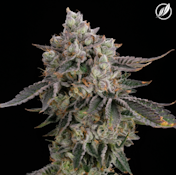 Dosilato Flower I 26453