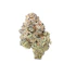 Product Preview Image 2