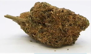 Double Sour Grape (3.5g)