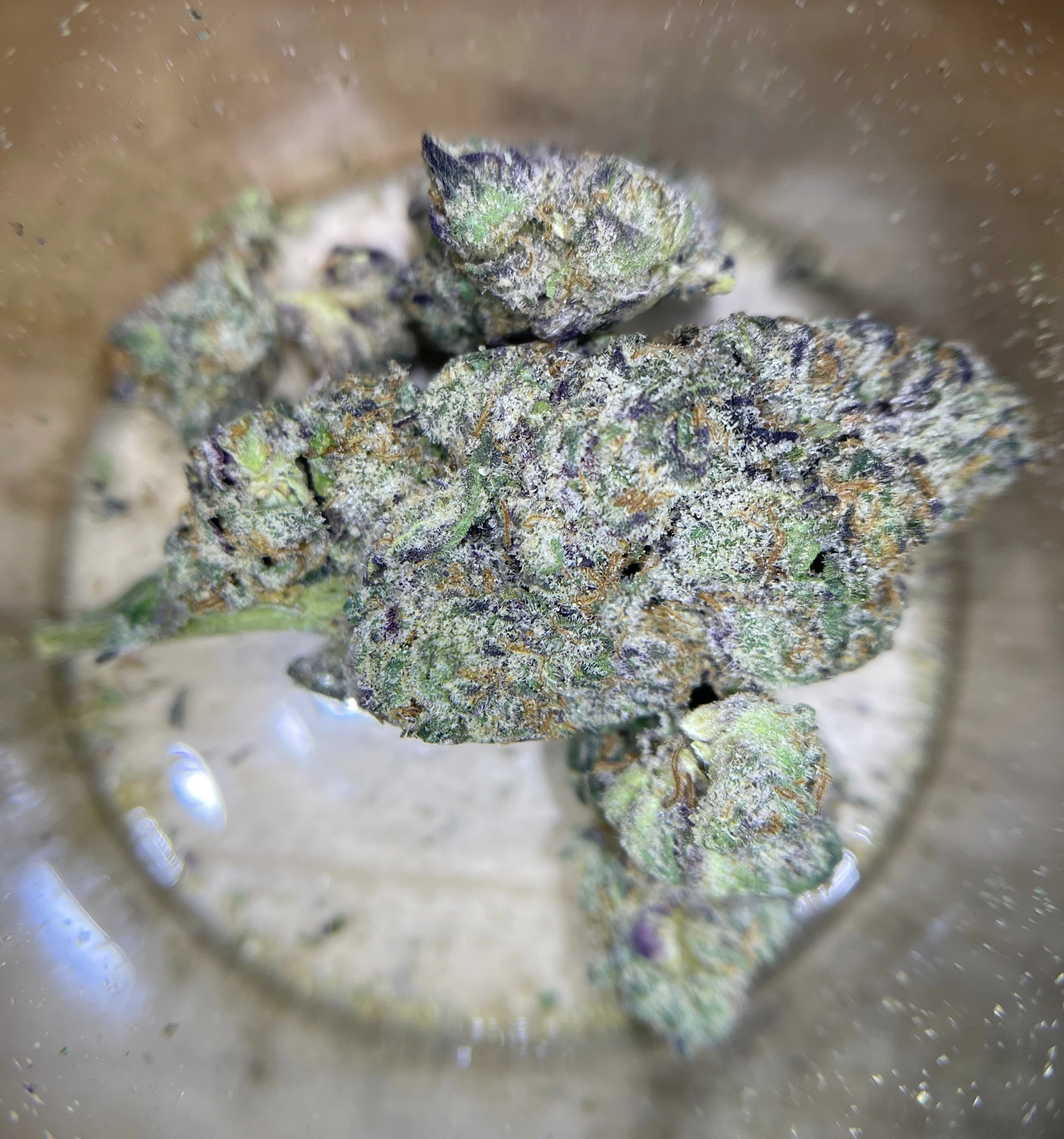 Verist Fields Grown - IX | Verist Fields | Double Sour Grape | 3.5g Main Image