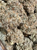Double Dip | SkyFall Cannapy