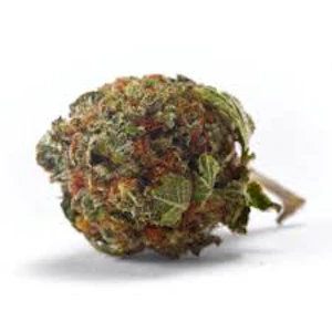 HDH FARMS - Dantes Greasy Fruit 14GM (S)