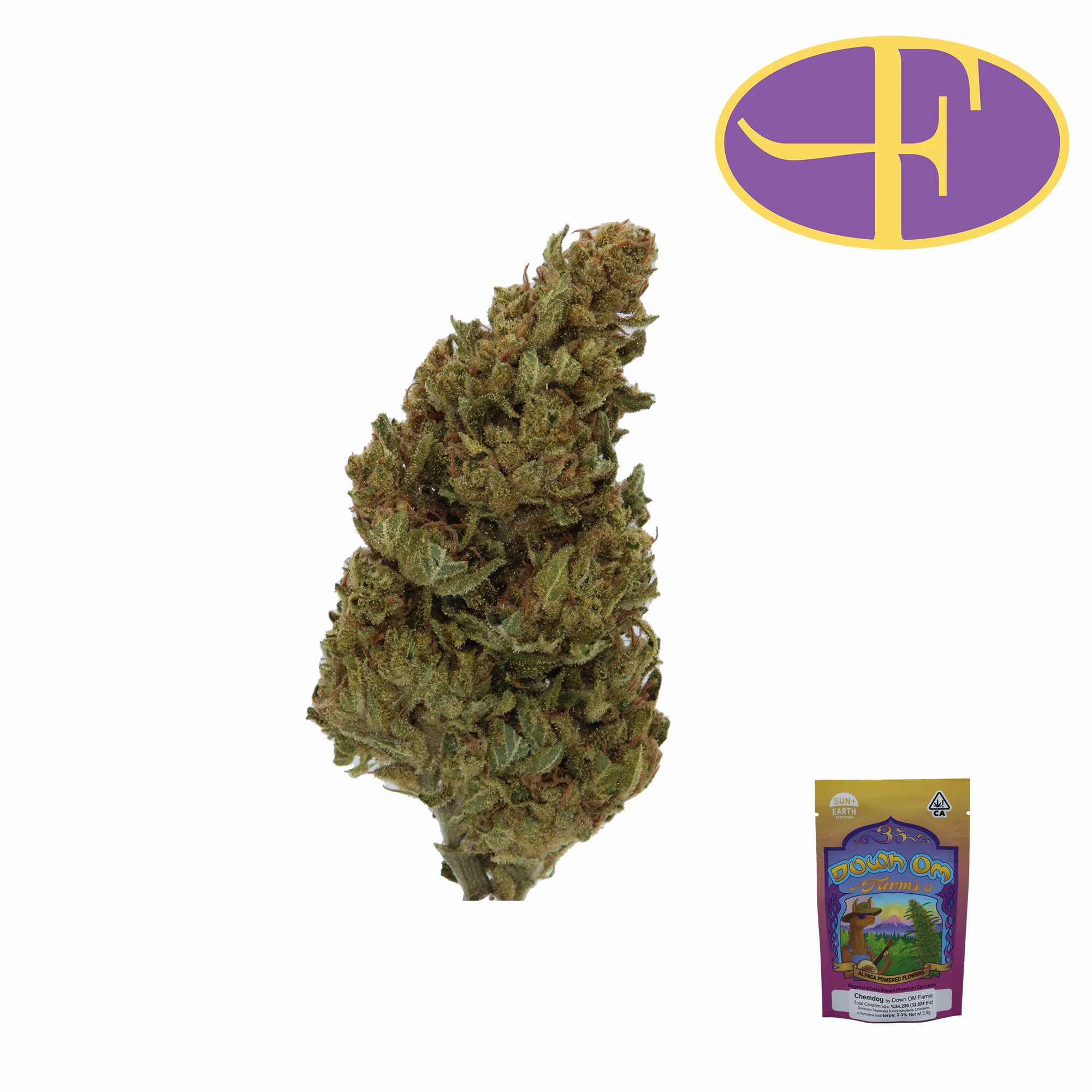 DOWN OM FARMS - ChemDog Main Image