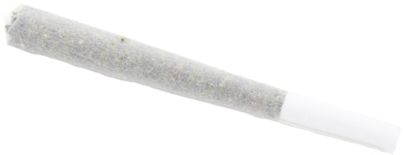 Dragonfly - Pink Mimosa (S Hybrid) Infused Preroll - 1.25g