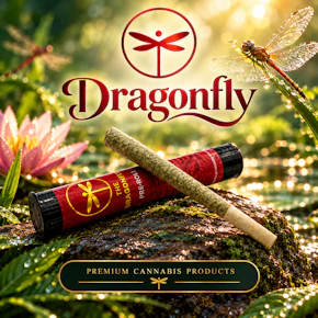 Dragonfly 1g Prerolls (500ct) | Trop Cherry OG