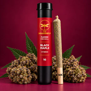 Dragonfly | Black Maple | 1g Pre-Roll