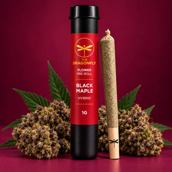 Dragonfly - Dragonfly | Black Maple | 1g Pre-Roll Main Image