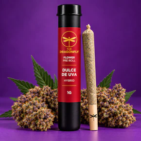 Dragonfly | Preroll 1g | Dulce De Uva