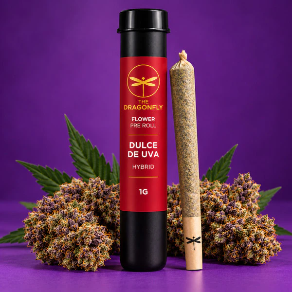 Dragonfly - Dragonfly | Preroll 1g | Dulce De Uva Main Image