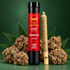 Dragonfly | 1.25g Resin Infused Preroll | Pinnacle