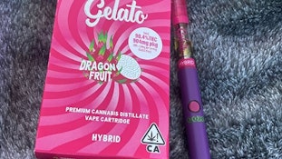 Gelato 510 - Dragonfruit