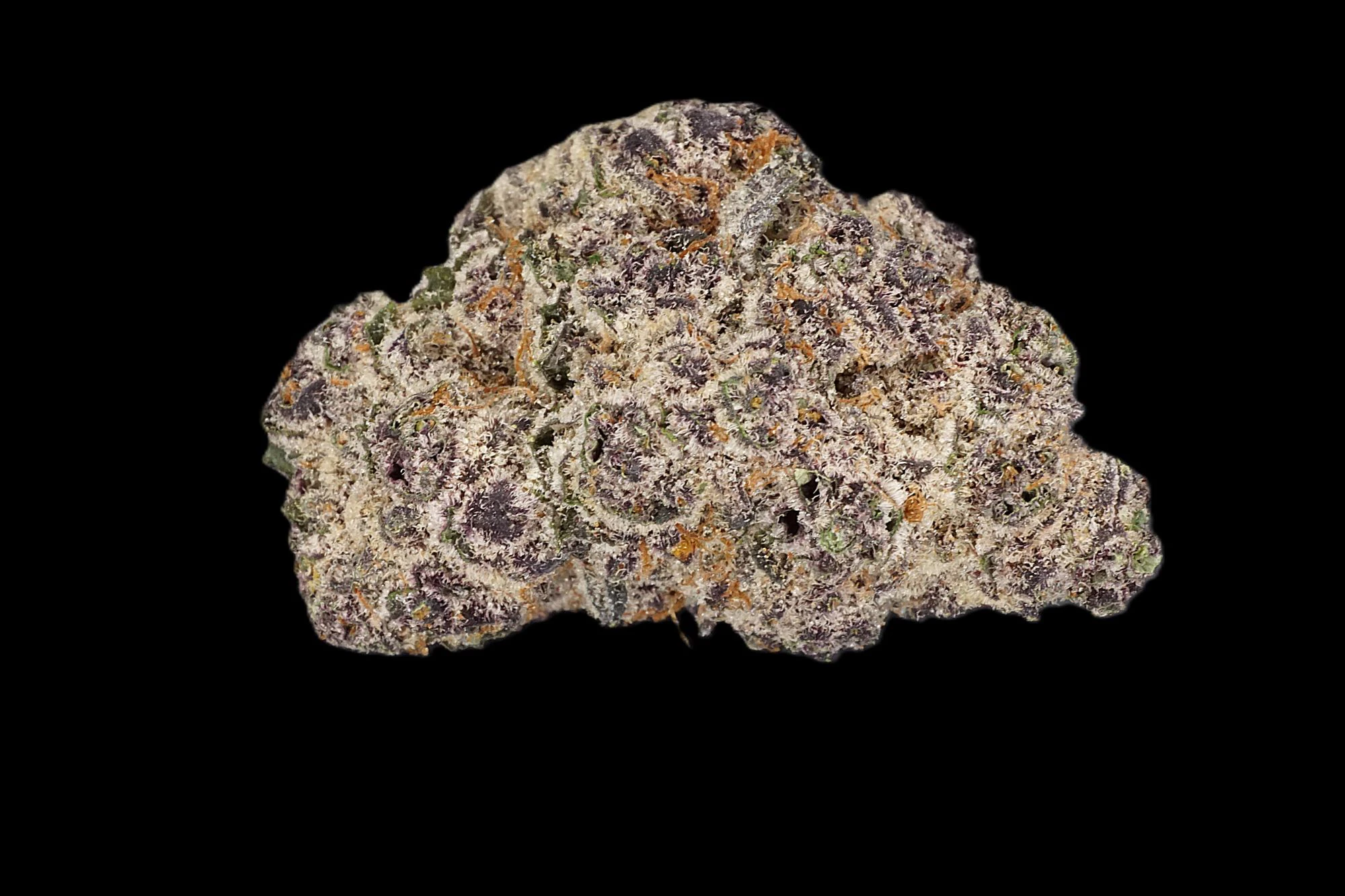 PLUSHCO - Dreamcane - Buds Main Image