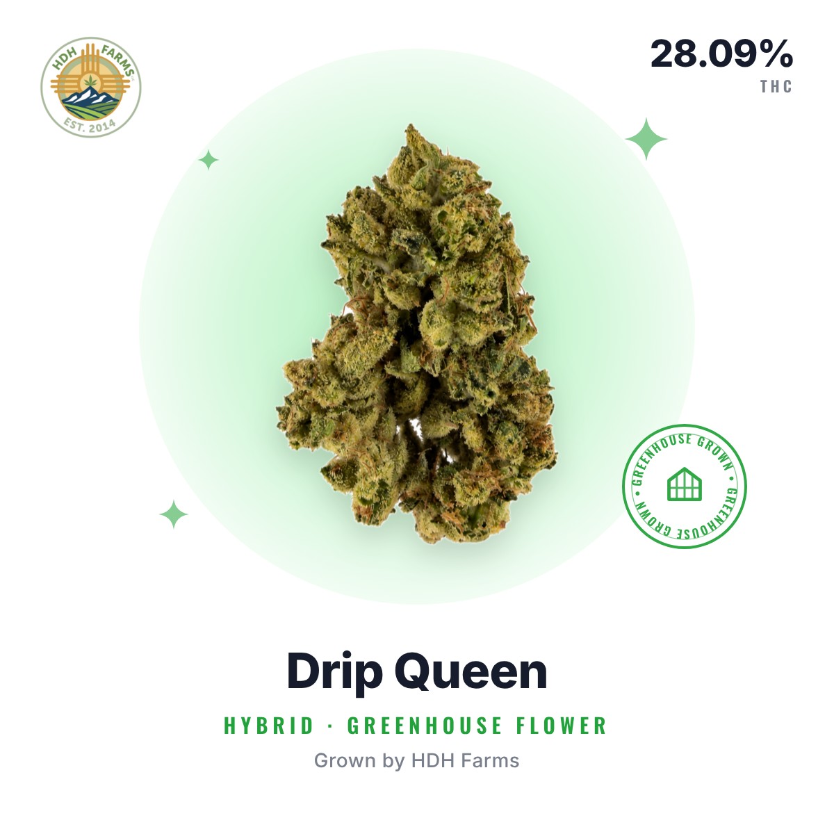 Drip Queen flower