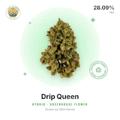 HDH - Drip Queen