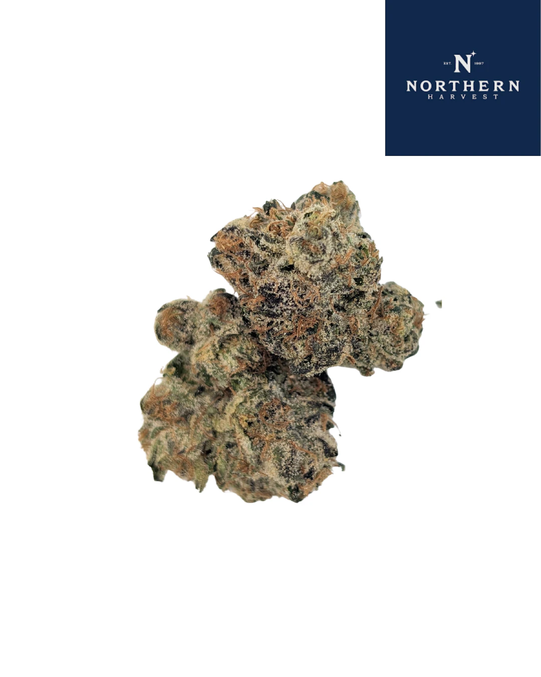 The Northern Harvest - Drippin' Cherries Main Image