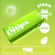 Drops Lime Gummy 20pk 100mg