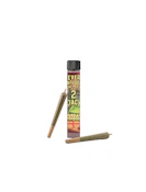 Durban Poison | Infused Pre-rolls | 0.75g 2-pack | Revert