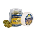 Nanticoke - Durban Poison - 7g - Flower
