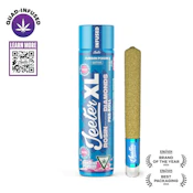 Durban Poison XL 2g Pre-Roll