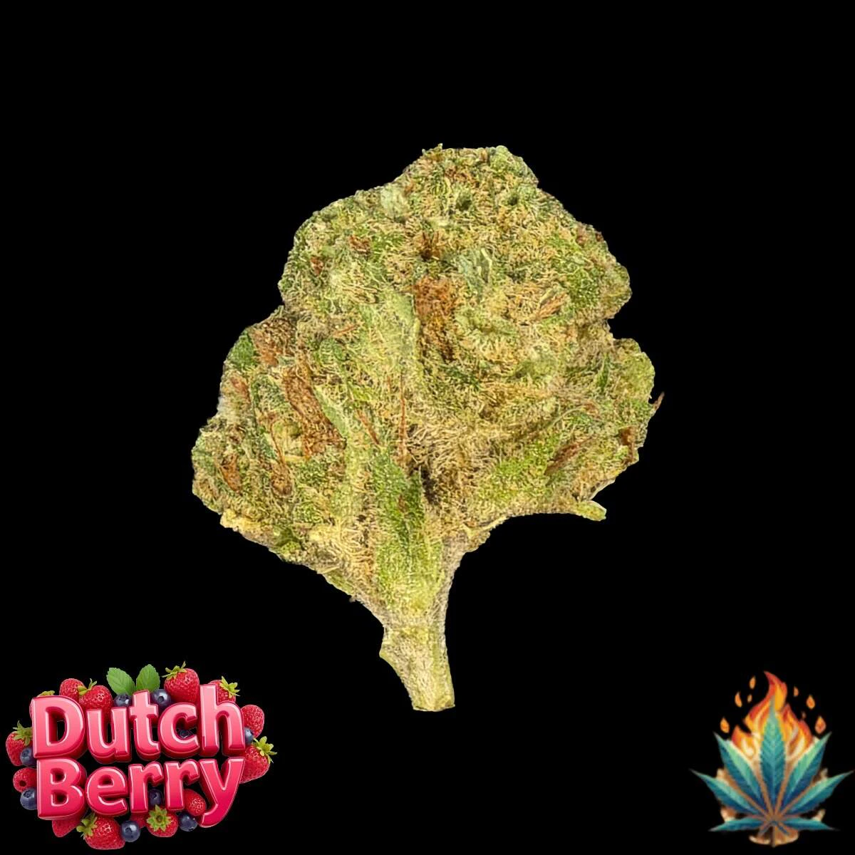 Native Fire - Native Fire 3.5g- Dutch Berry Main Image