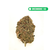 RG $59 Dutch Treat (H) 1oz 