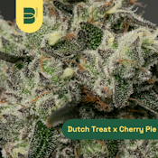 The Botanist | Flower | Dutch Treat x Cherry Pie | 3.5g