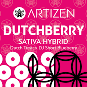 Artizen - Dutchberry 14g