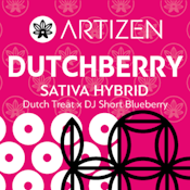 Dutchberry - Flower - Artizen - 3.5g