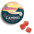 KIVA: Camino Watermelon Lemonade "Bliss" Gummies 20-Piece/100mg (H)
