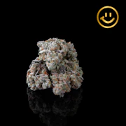 LOWD | Mint Spritzer | indoor flower