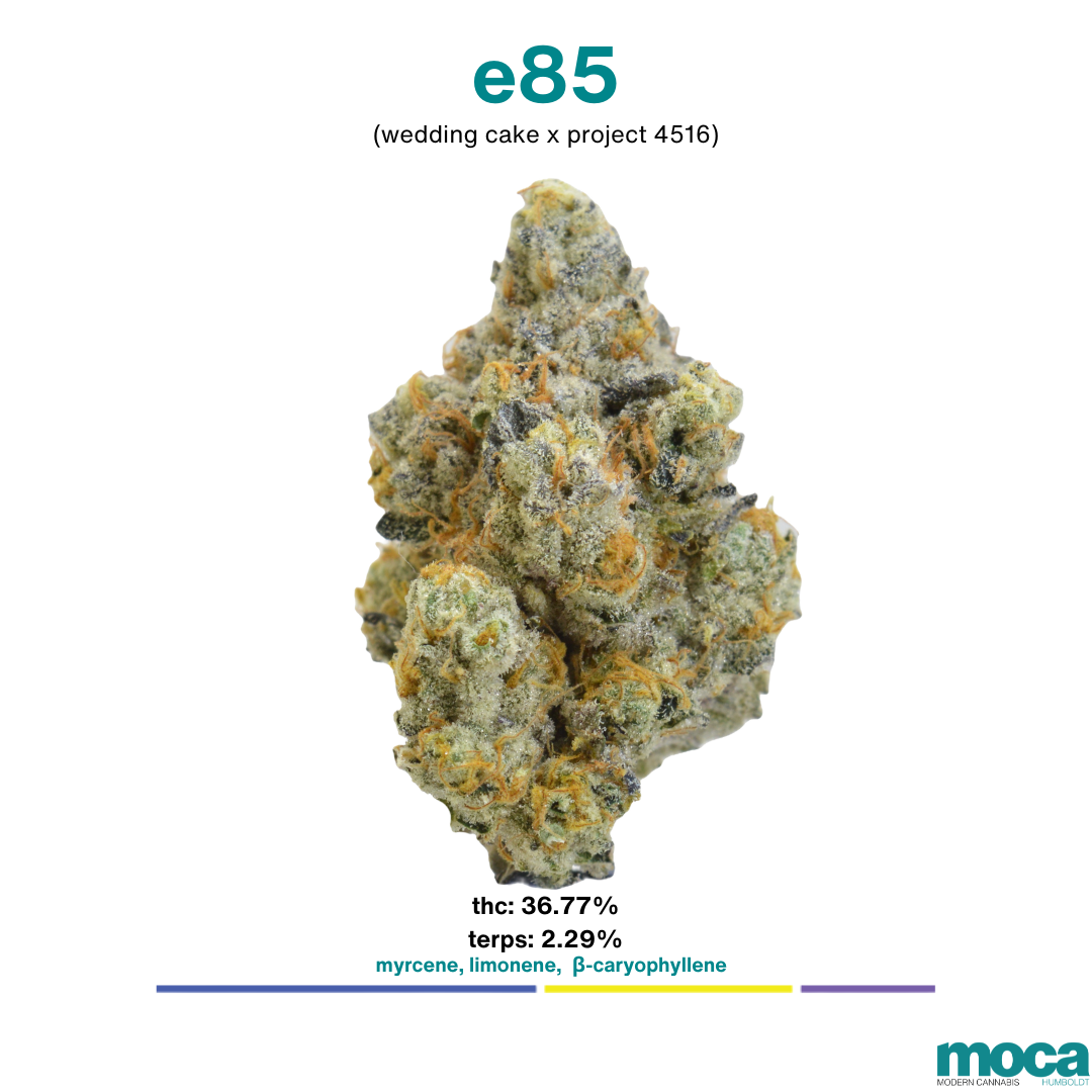 MOCA Flowers - 1/8th Jar - E85