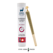 East Fork Cultivars Blueberry Balance Single Pre-Roll 0.5g