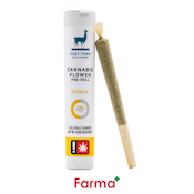 East Fork Cultivars Blueberry Balance Single Pre-Roll 0.5g