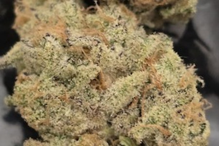 BHL ENTERPRISES - BHL | Blueberry Runtz