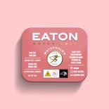 EATON - Gal Pal - 100mg - Edible