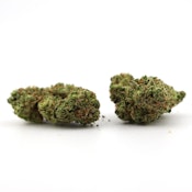 Emerald Cannabis Worx [S] | Hawaiian Dutch (0217)