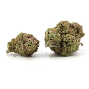 Emerald Cannabis Worx [I] | Mountain Blueberry (0219)