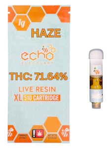 Echo Electuary - Echo | Cart LR 1g [S] | Haze