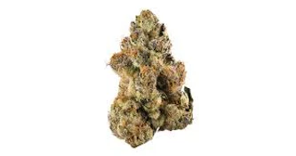 EAST COAST ALIEN 1/4oz