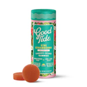 Kiwi Strawberry Gummies - 100mg (H) - Good Tide
