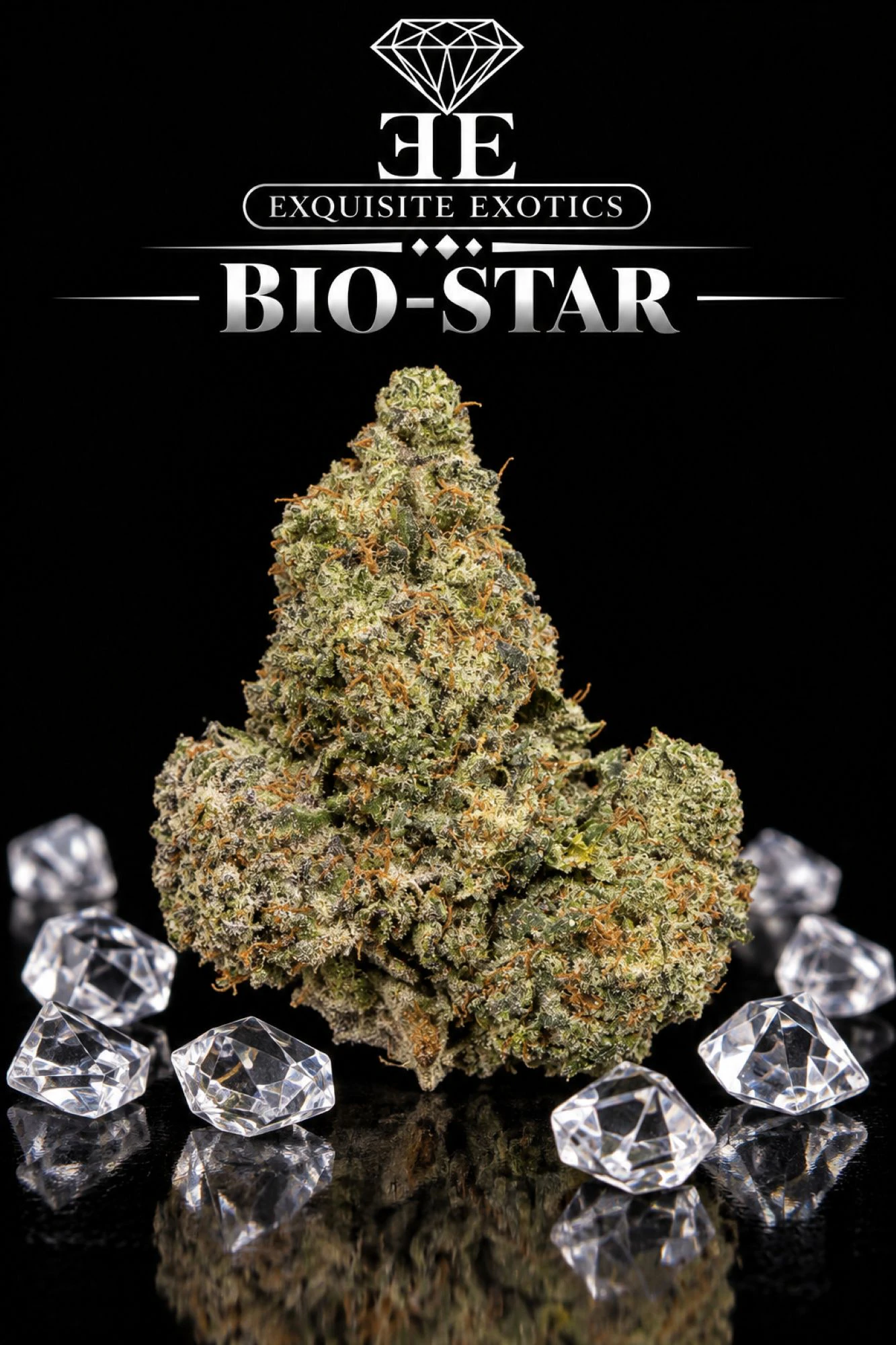 Exquisite Extractions - Diamond - Bio-Star - 3.5 Main Image