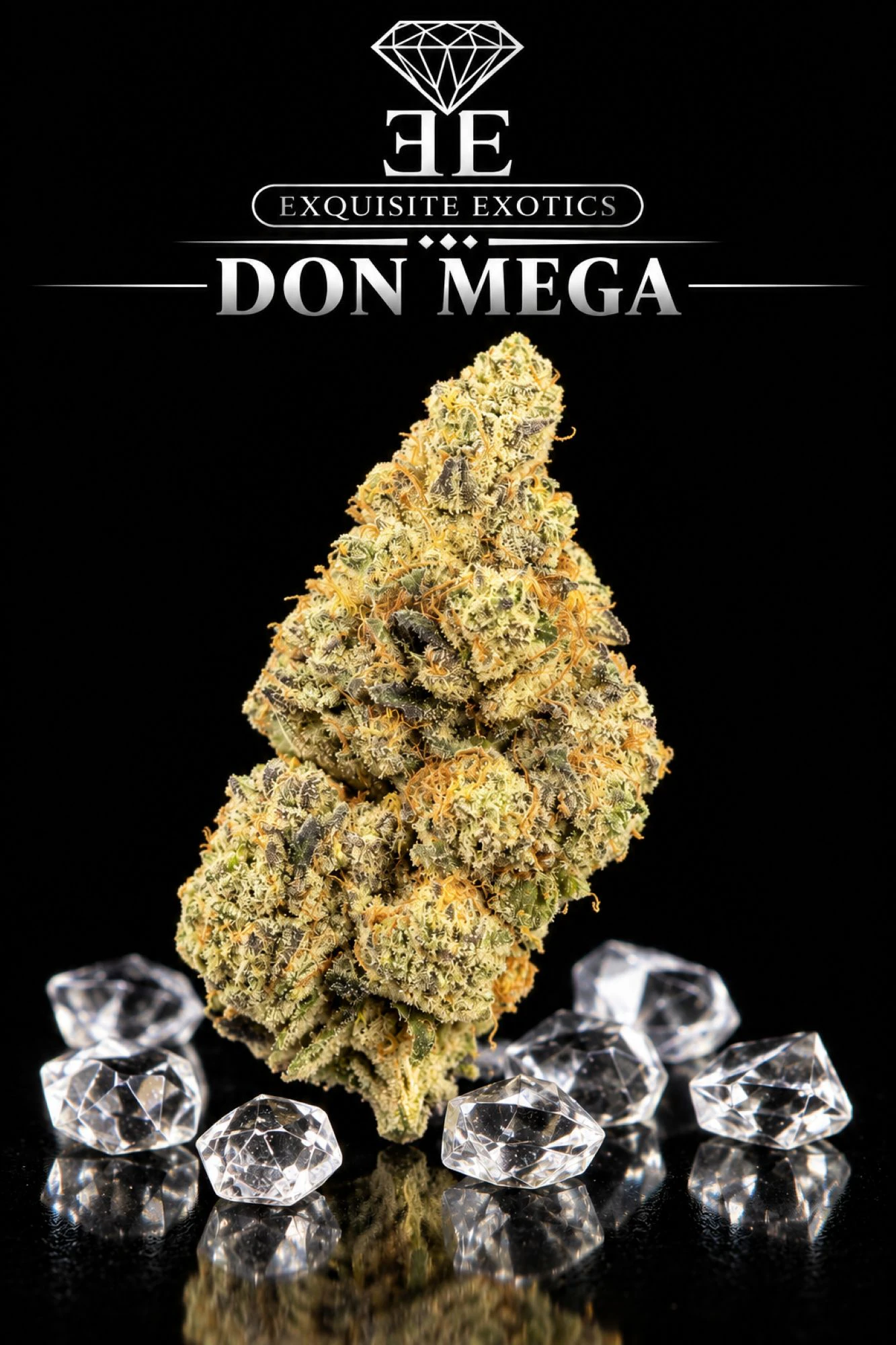 Exquisite Extractions - SB- Don Mega - 3.5 Main Image
