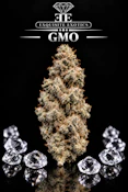 SB - GMO - 3.5