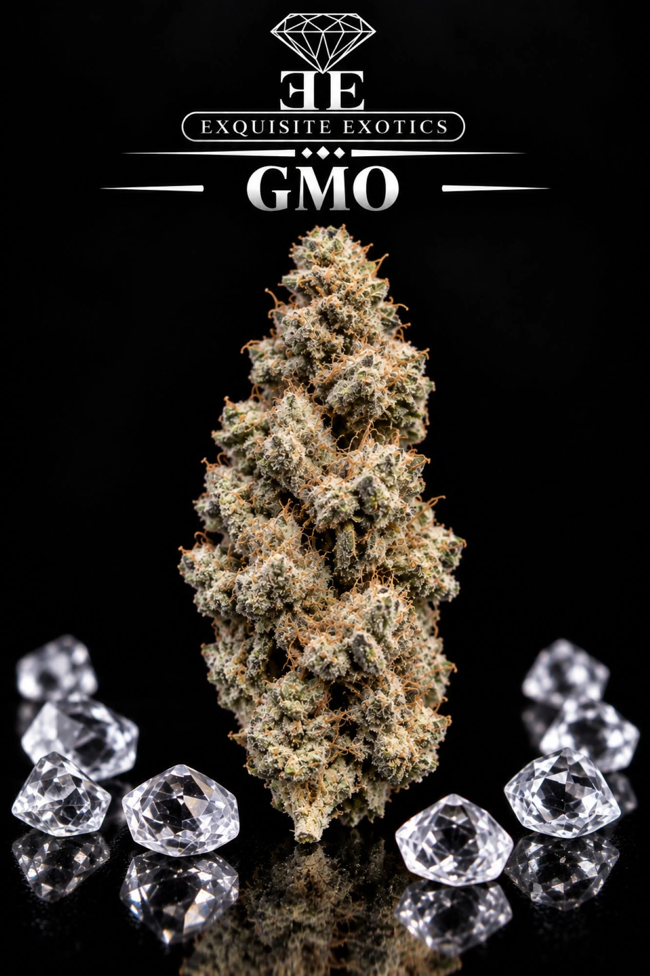 High Level Health CO - SB - GMO - 3.5 Main Image