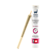 EF | ACDC Cookies | 0.5g 1:1 CBD:THC Balance Pre-rolls
