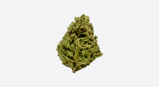 East Fork Cultivars - East Fork Cultivars Blueberry Balance