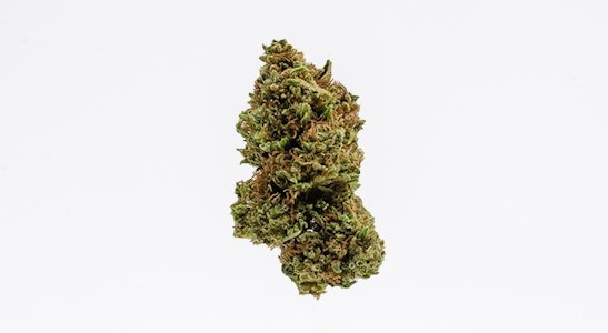 East Fork Cultivars - East Fork Cultivars Sour Lemon Kush